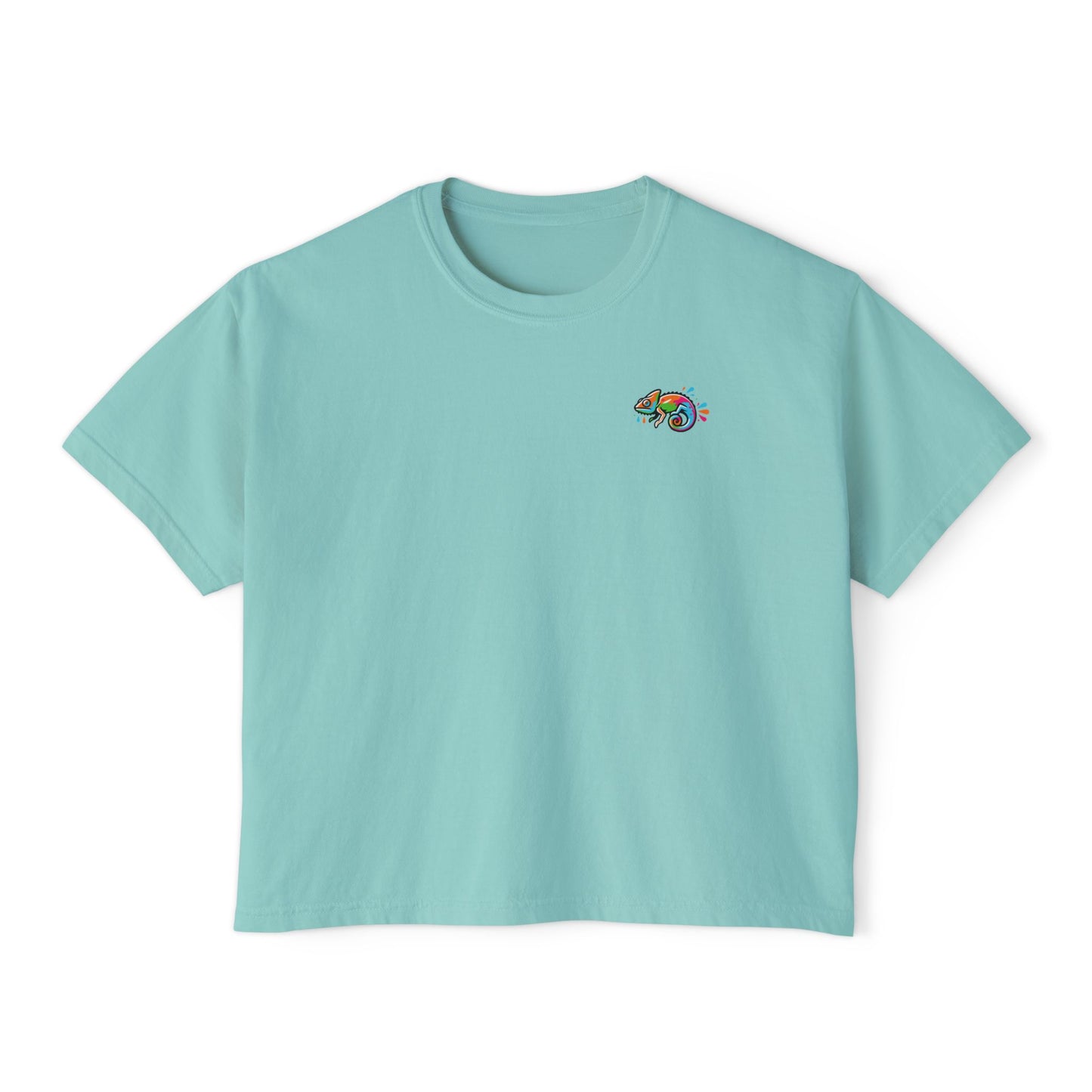 Women's Boxy Tee (DC Logo)
